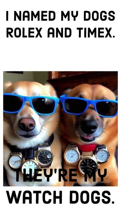 rolex dog name|Rolex and Timex .